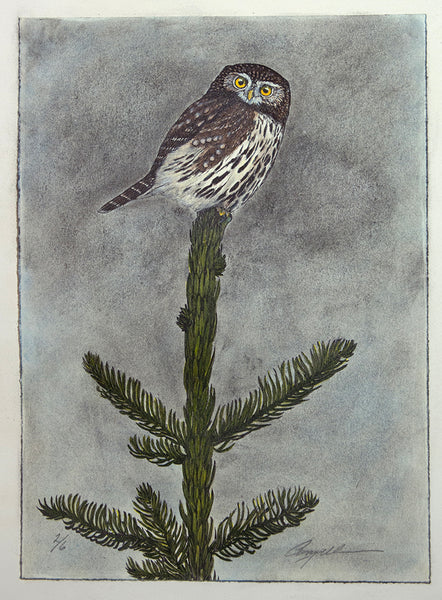 From The Mountain Slopes