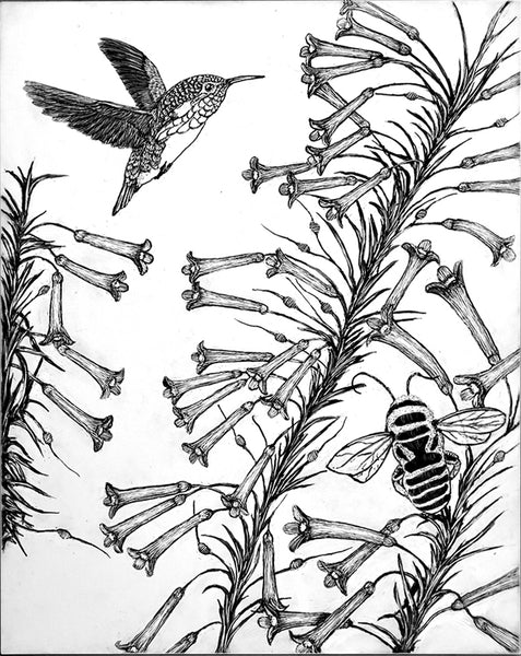 Bee Hummingbird