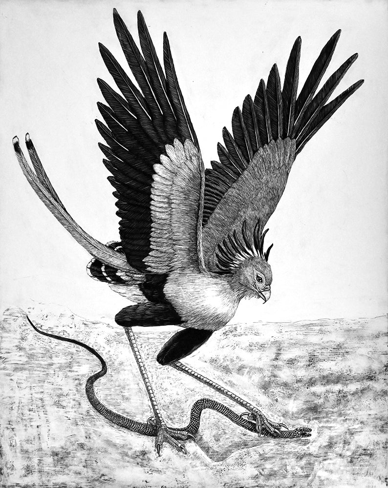 Secretary Bird