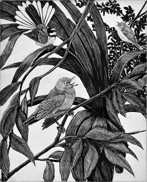 Silvereye