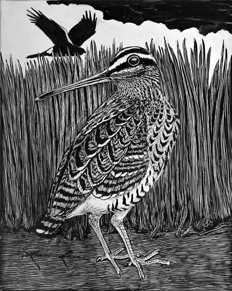 Great Snipe II
