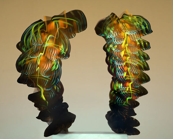 Entomography #528, Heliconius hecale, 2022