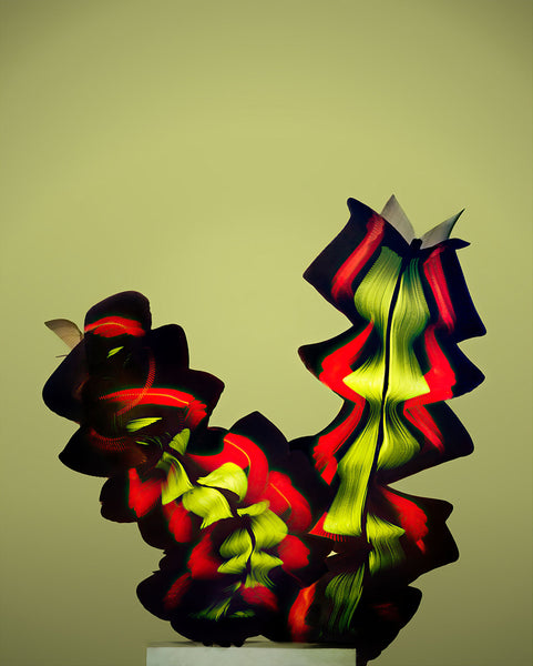 Entomography #538, Heliconius melpomene, 2022