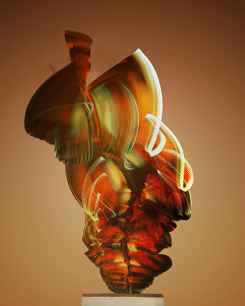 Entomography #530, Dryadula phaetusa, 2022