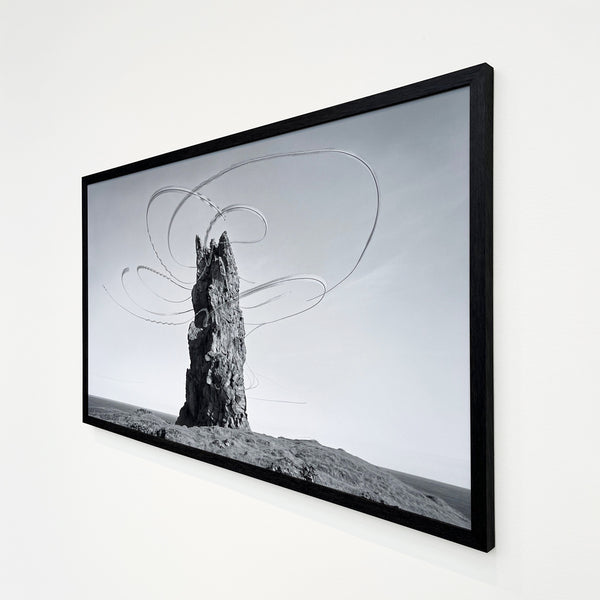 Xavi Bou Artwork 'Ornithographies #300' | Available at Foster