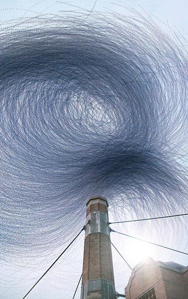 Ornithographies #310, Vaux's Swifts, Portland, Oregon, 2024