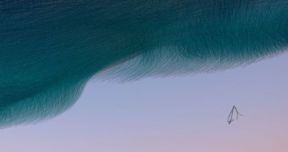 Ornithographies #239, Common Starlings and Peregrine Falcon, Roses, Catalonia Barcelona 2022