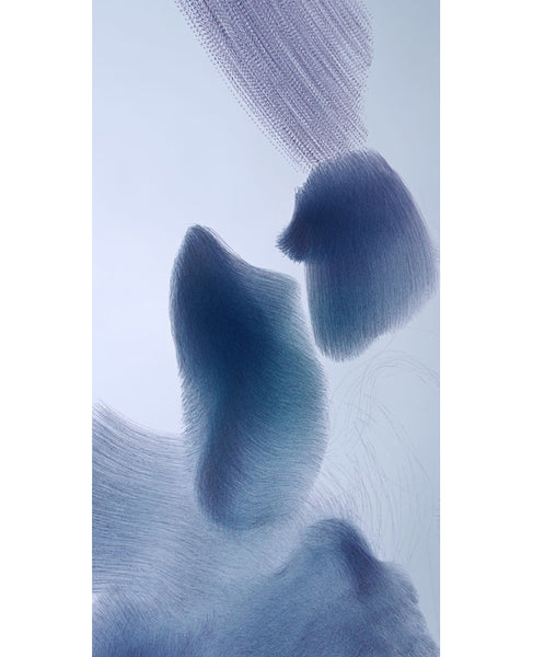 Ornithographies #240, Common Starlings, Roses, Catalonia, 2022