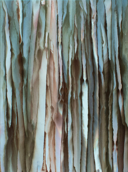 Forest for the Trees