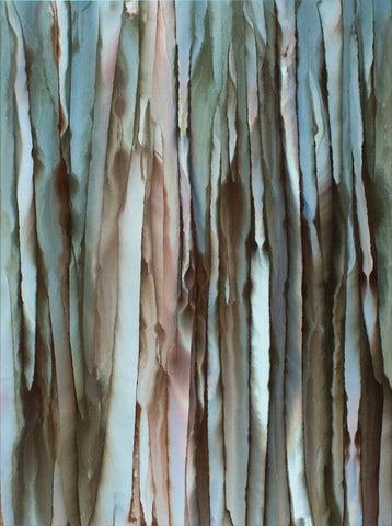 Forest for the Trees