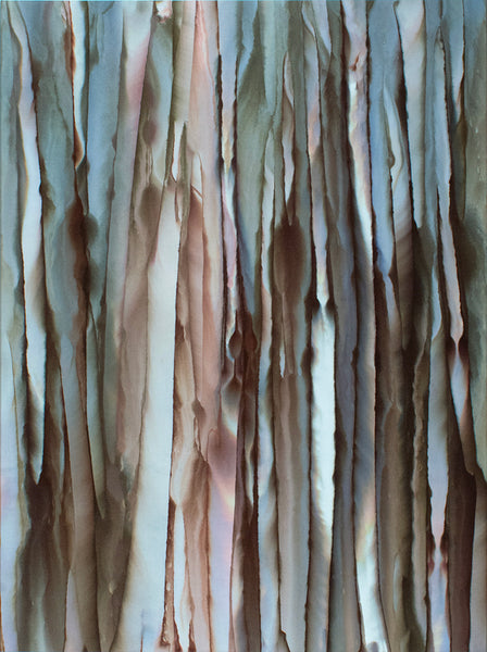 Forest for the Trees