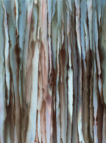 Forest for the Trees
