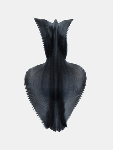 Fluctus #30, Falco peregrinus, Peregrine falcon