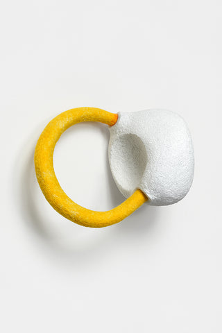 One Circle Around the Sun