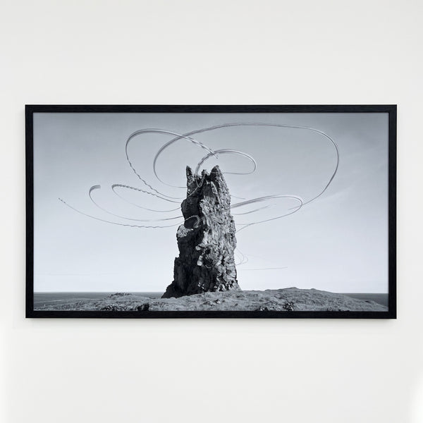 Xavi Bou Artwork 'Ornithographies #300' | Available at Foster