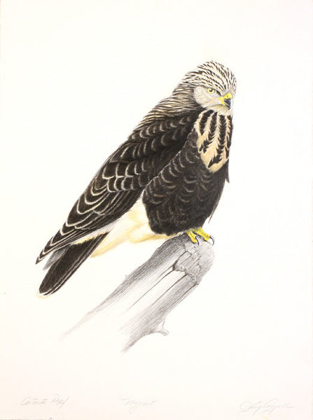 Tony Angell Artwork 'Migrant, AP' | Available at fosterwhite.com