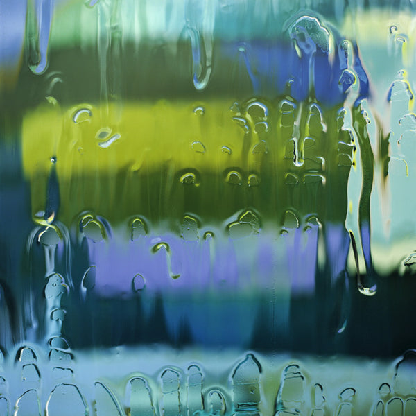 Carol Inez Charney Photograph 'BEE 1' Available at Foster White Gallery