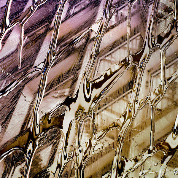 Carol Inez Charney Photograph 'SPL 2' Available at Foster White Gallery