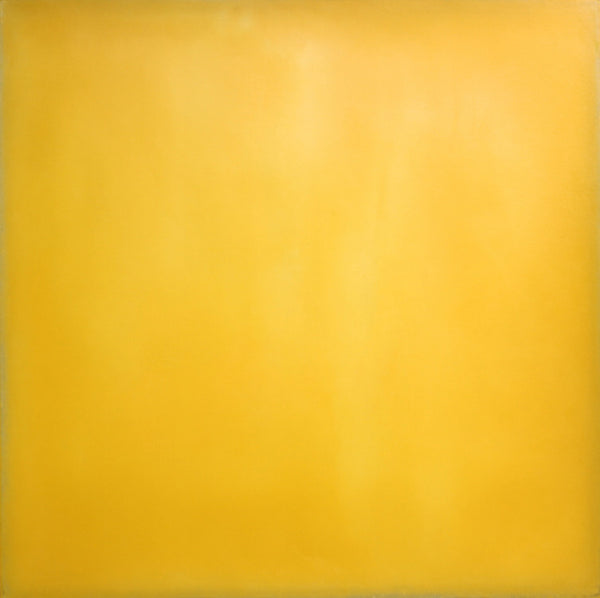 Tom Burrows Artwork 'Coquerel's Coua' | Available at fosterwhite.com