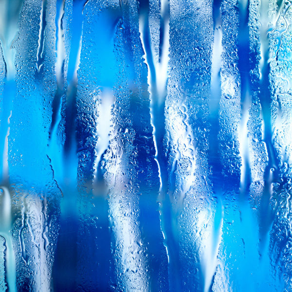 Carol Inez Charney Photograph 'HAR 1' Available at Foster White Gallery