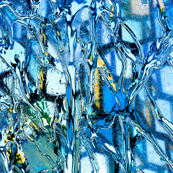 Carol Inez Charney Photograph 'HAR 4' Available at Foster White Gallery