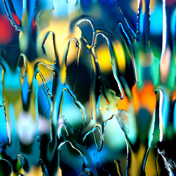 Carol Inez Charney Photograph 'HAR 6' Available at Foster White Gallery