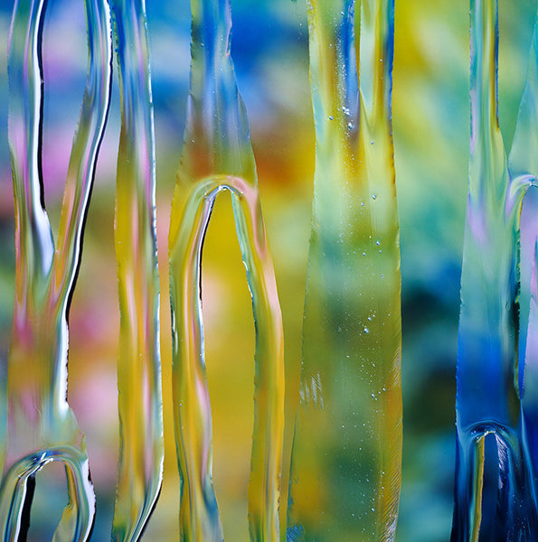 Carol Inez Charney Photograph 'After Claude Monet: Iris 2, 1916' Available at Foster White Gallery