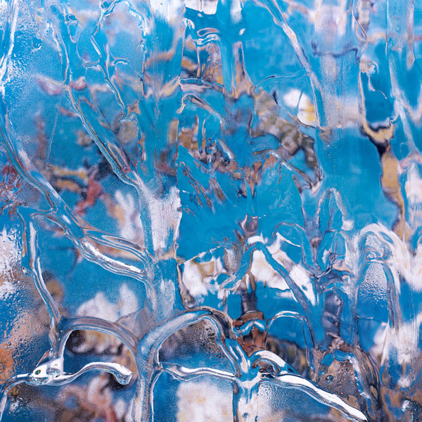 Carol Inez Charney Photograph 'After Van Gogh: Almond Blossom 1, 1890' Available at Foster White Gallery