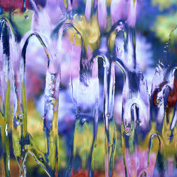 Carol Inez Charney Photograph 'After Claude Monet: Chrysanthemums 2, 1897' Available at Foster White Gallery