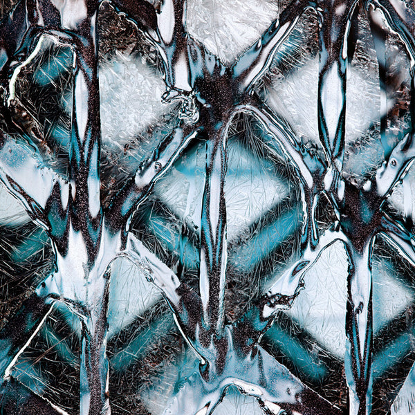 Carol Inez Charney Photograph 'SPL 3' Available at Foster White Gallery