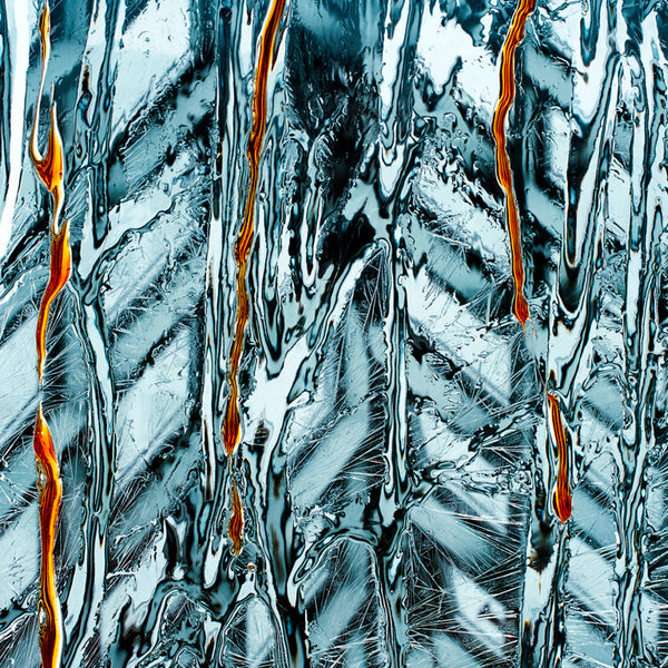 Carol Inez Charney Photograph 'SPL 6' Available at Foster White Gallery