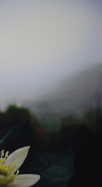 Guy LaramŽe Artwork 'Larangera' | Available at fosterwhite.com