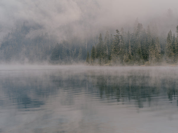 Cody Cobb Artwork 'Disintegration' | Available at fosterwhite.com