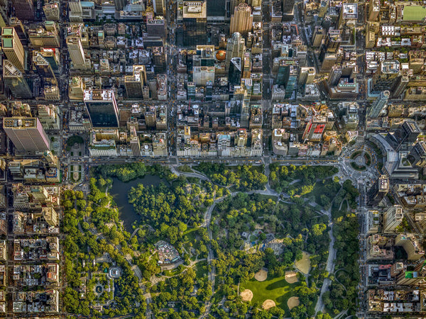 Jeffrey Milstein Artwork 'NYC 59th Street Central Park' | Available at fosterwhite.com