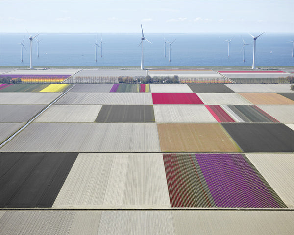 David Burdeny Artwork 'Tulips And Turbines 1, Noordoostpolder, The Netherlands' | Available at fosterwhite.com
