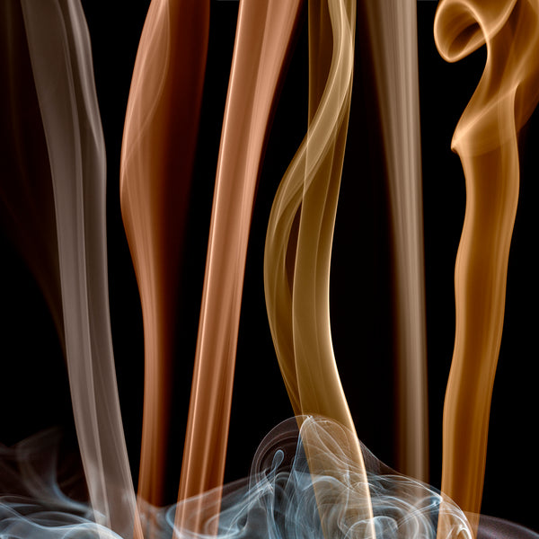 Caste, by Isabel Wilkerson