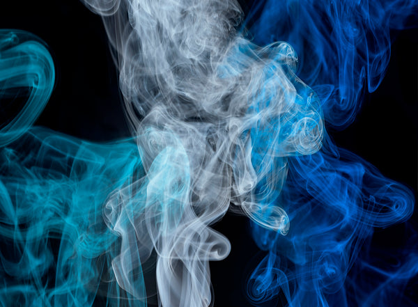 Maus I: A Survivor's Tale: My Father Bleeds History by Art Spiegelman