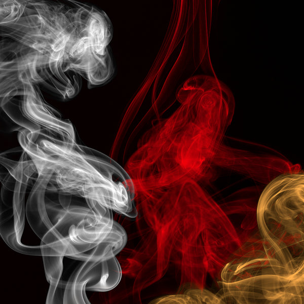 The Handmaid's Tale: A Graphic Novel, by Margaret Atwood