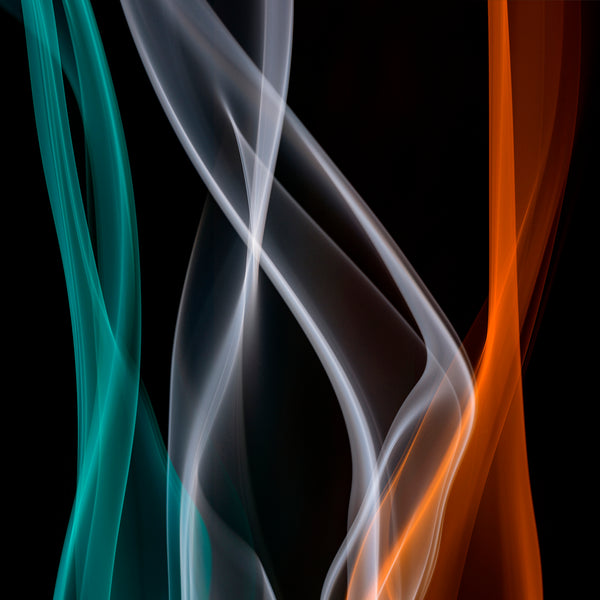 The Hookup Artist by Tucker Shaw