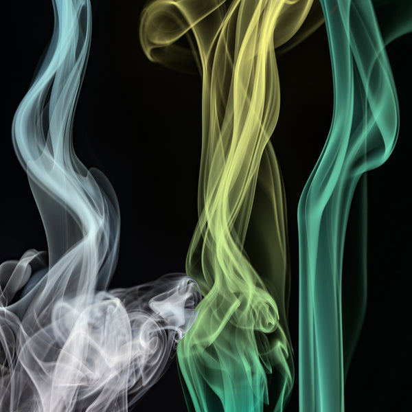 The Sum Of Us, by Heather McGhee