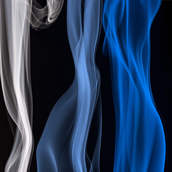 Animal Farm, by George Orwell