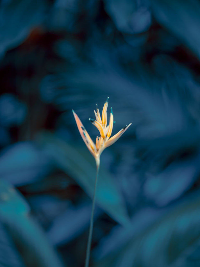 Reaching