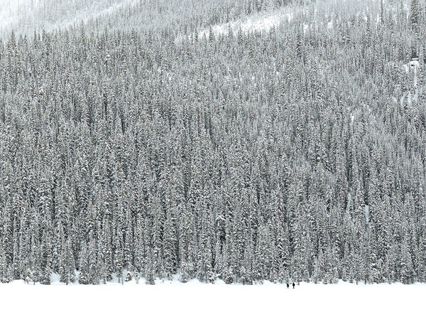 Joshua Jensen-Nagle - Away From It All With You - 4 sizes | Available at Foster White Gallery Seattle