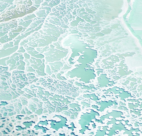 Dead Sea Salts I