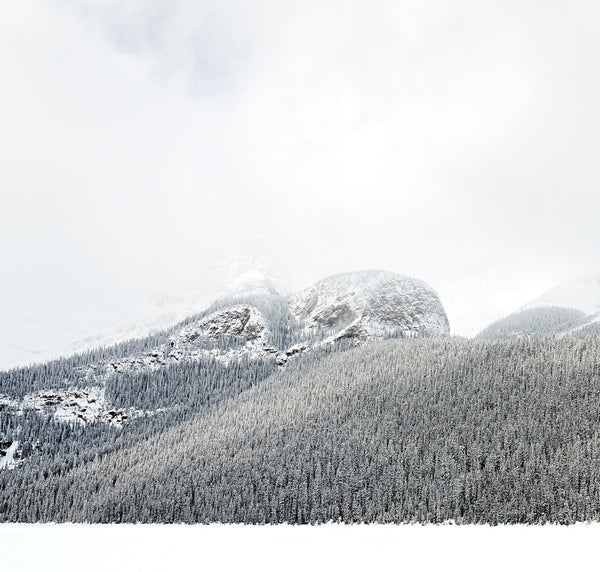 Joshua Jensen-Nagle - Into The Air - 3 sizes | Available at Foster White Gallery Seattle