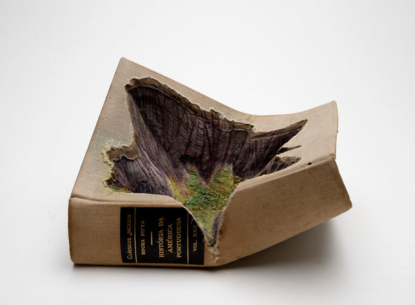 Historia Da America Portuguesa