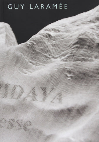 La Grand Nostalgie, Guy Laramée Book, 2013