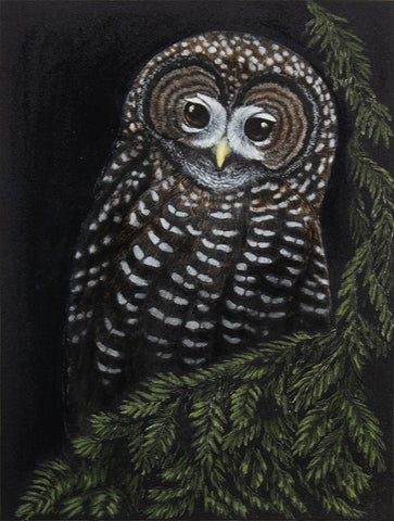 Primal Owl