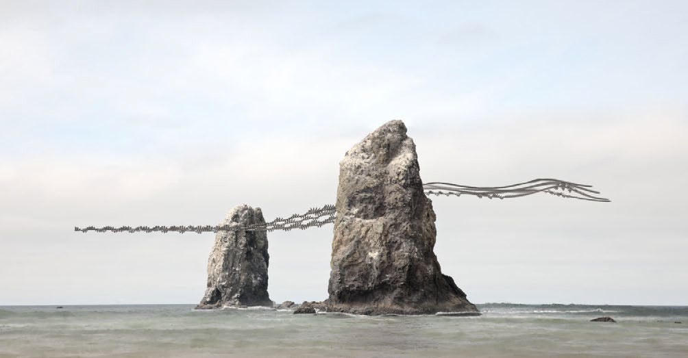 Ornithographies #305, American White Pelican, Cannon Beach, Oregon, 2024