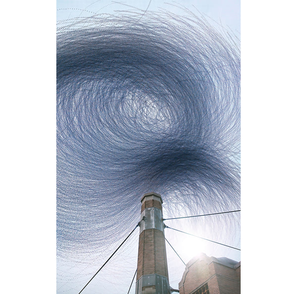Ornithographies #310, Vaux's Swifts, Portland, Oregon, 2024